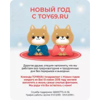 Новый 2018 год с Той69