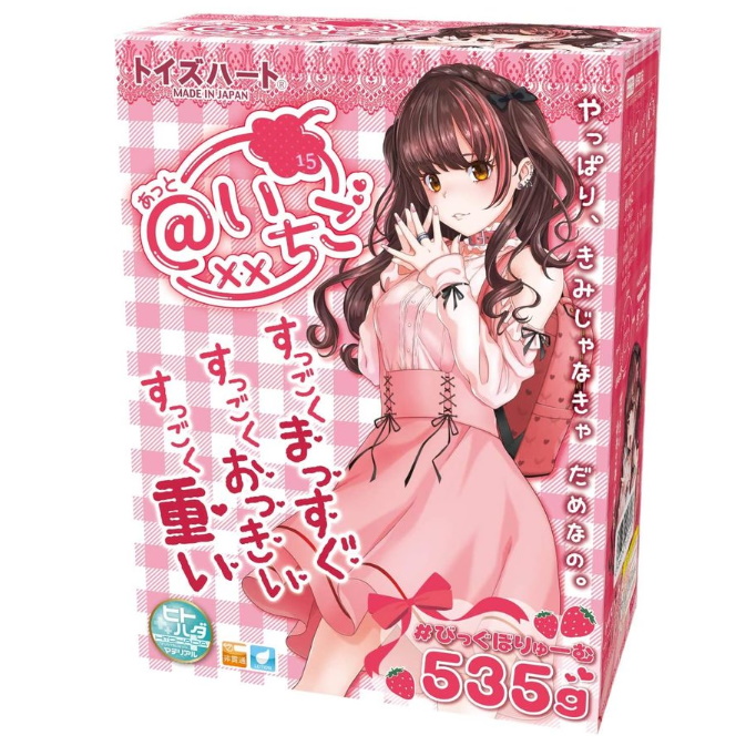 Sleeve for L.B. Hina