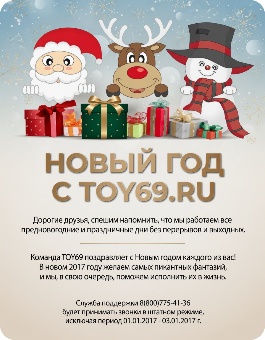 Новый год с TOY69